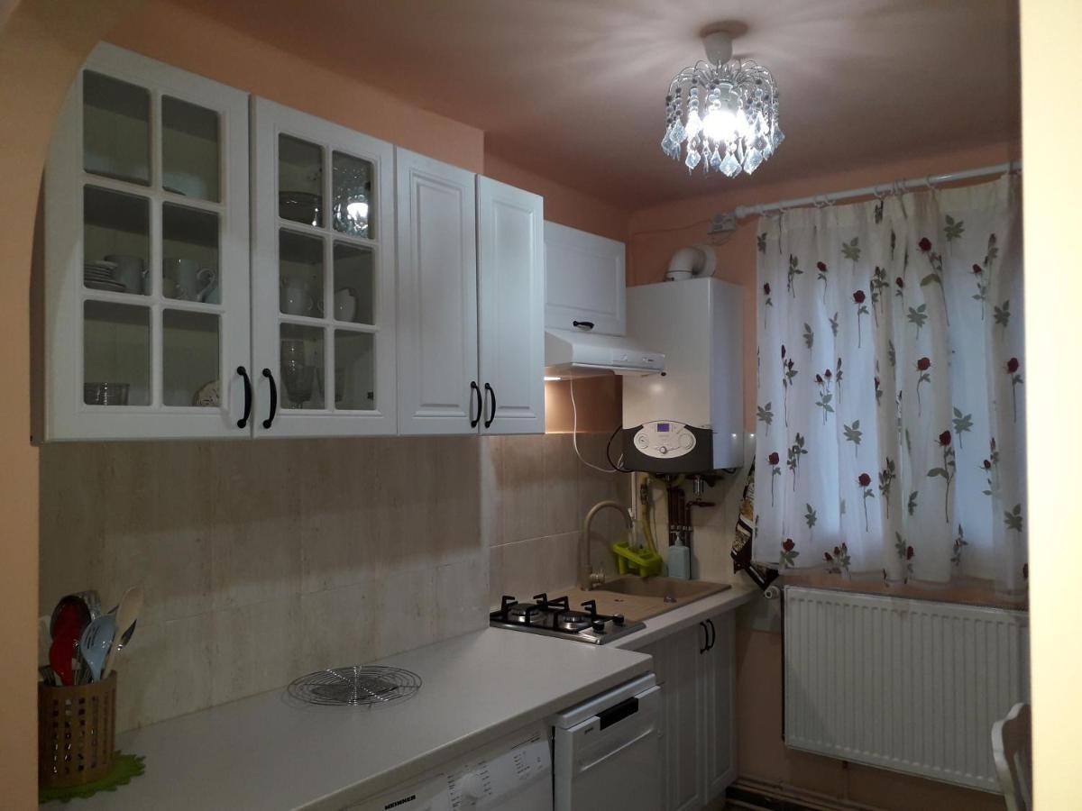 Apartment Cozy, 1-bedroom In Timisoara, Romania *