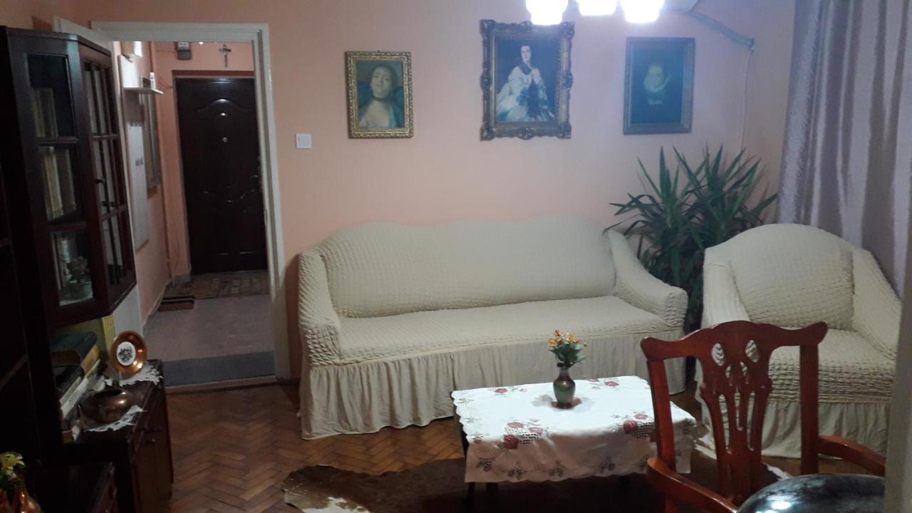 Apartment Cozy, 1-bedroom In Timisoara, Romania
